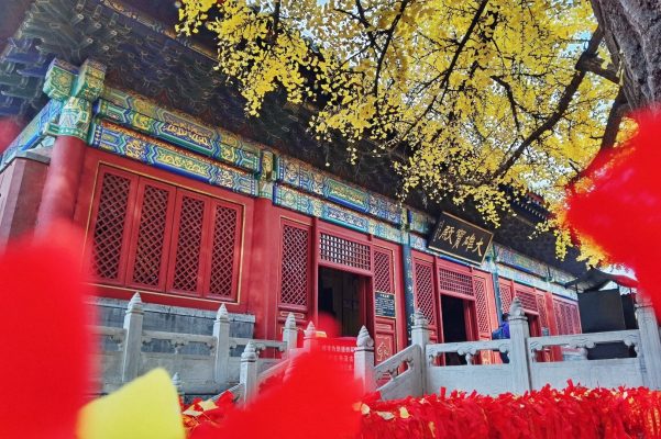 Chùa được khởi công xây dựng từ năm 348, nhưng lúc đó chỉ là một ngôi chùa nhỏ. Dưới thời nhà Đường (618-907) thì chùa được nâng cấp và mở rộng hơn.