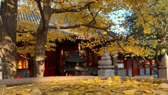 Chùa Hồng Loa được chia làm 5 khu vực chính: cổng tam quan, điện thờ Tứ thiên vương, chánh điện, thiền đường và giảng đường 