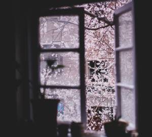 Hoa đào đã nở rộ bên ngoài ô cửa sổ, báo hiệu một mùa Tết nữa đang về
