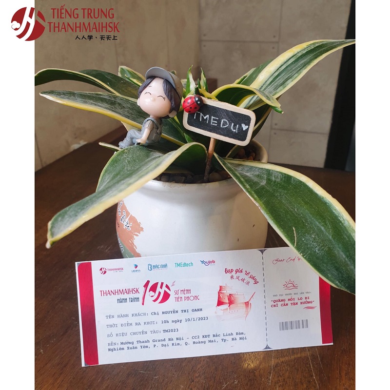 Gala kỷ niệm 10 năm THANHMAIHSK 4